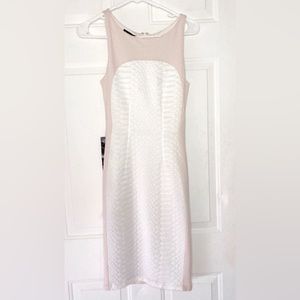 Bebe Body Con Textured Dress